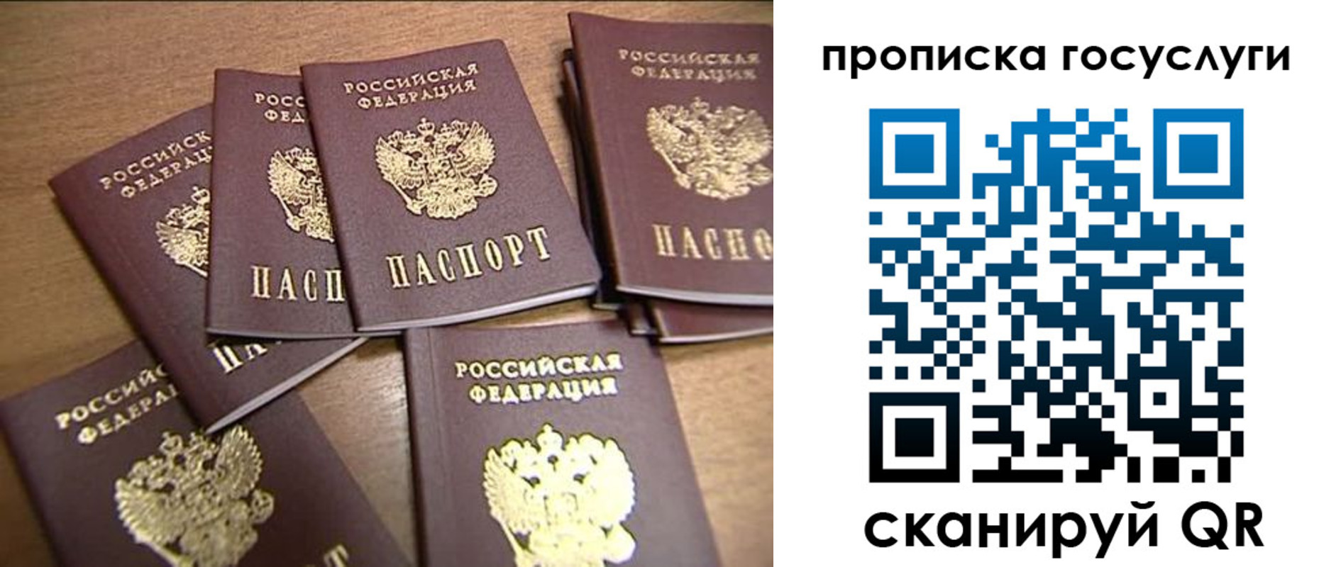 прописка для работы в Тосно